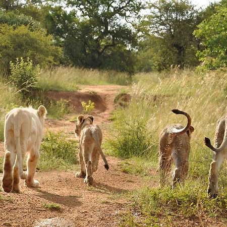 Ukutula Lion Lodge Beestekraal  Dış mekan fotoğraf